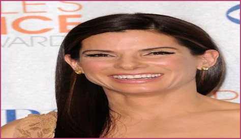 Has Sandra Bullock Had Plastic Surgery Inside?